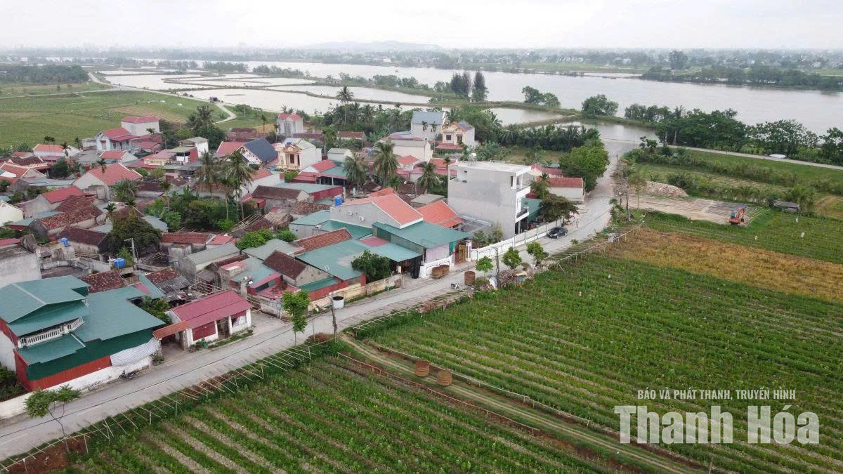 Nhịp làng sinh sôi
