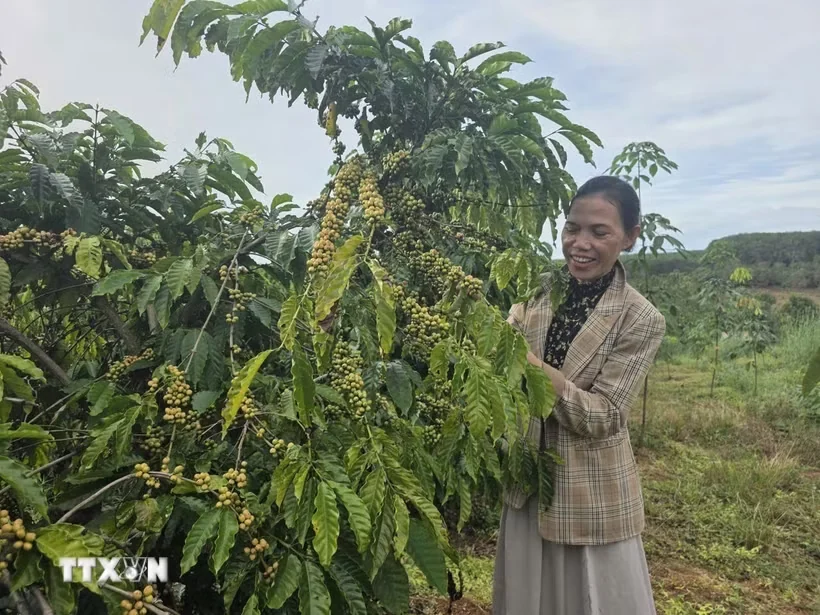 UNDP ghi nhận Việt Nam thuộc nhóm giảm nghèo đa chiều nhanh trên thế giới