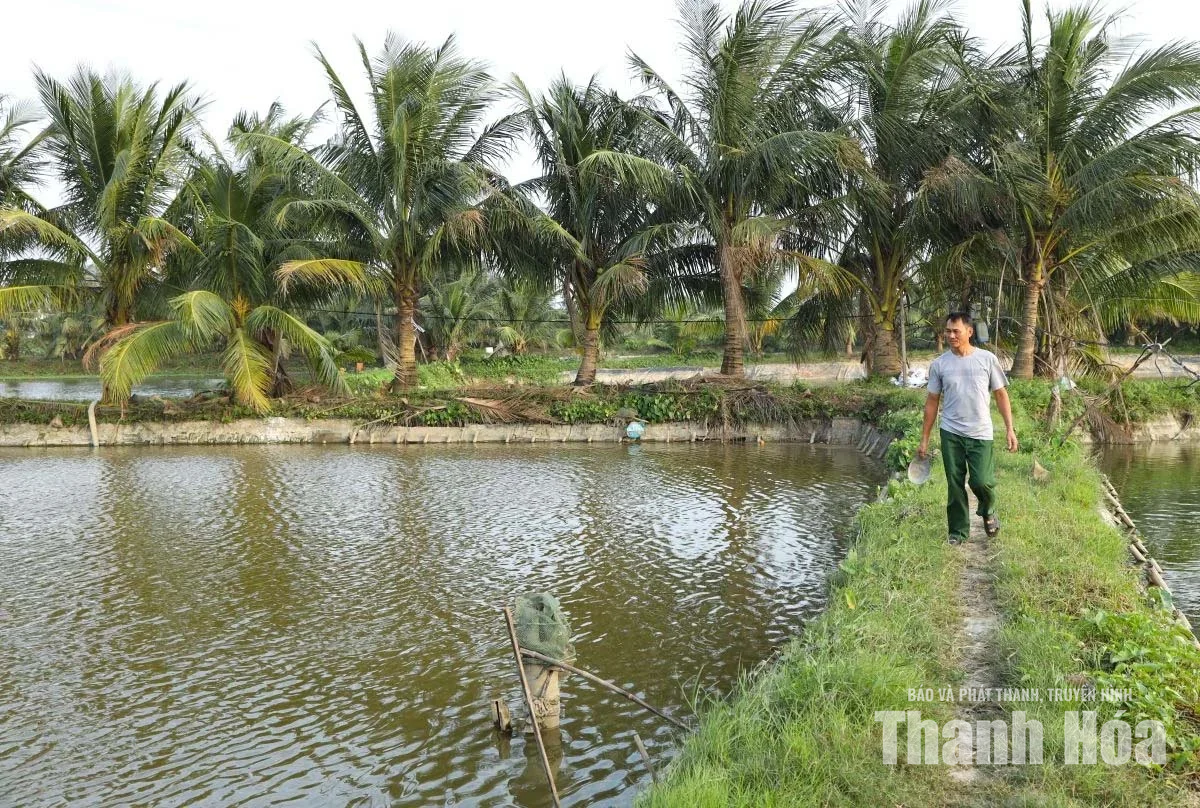 Cần tháo gỡ khó khăn trong quản lý, sử dụng đất công ích