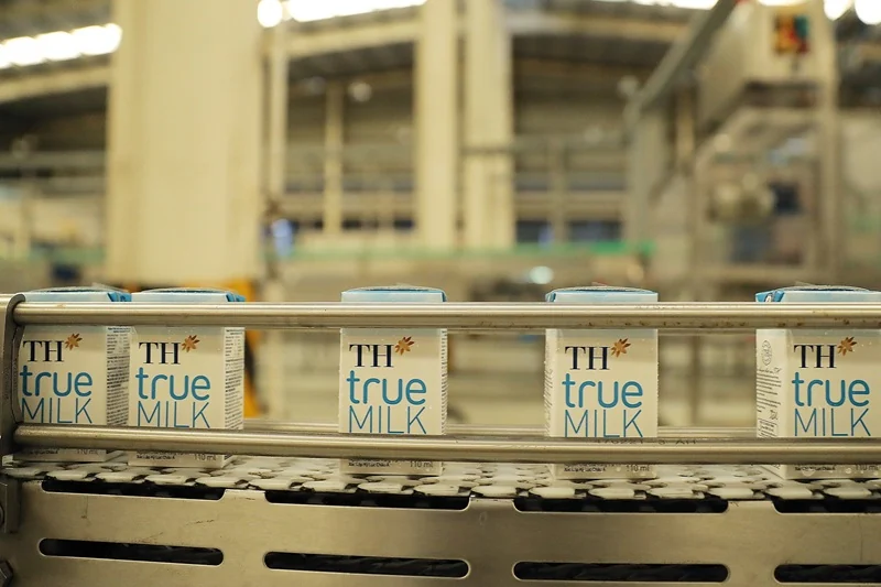 Từ cánh đồng hướng dương 150 ha đến kỷ lục thế giới năm 2026 của TH true MILK