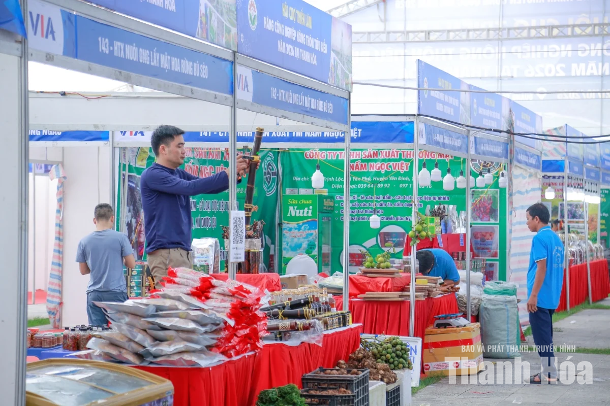 Sẵn sàng khai mạc Hội chợ triển lãm hàng công nghiệp nông thôn tiêu biểu năm 2026