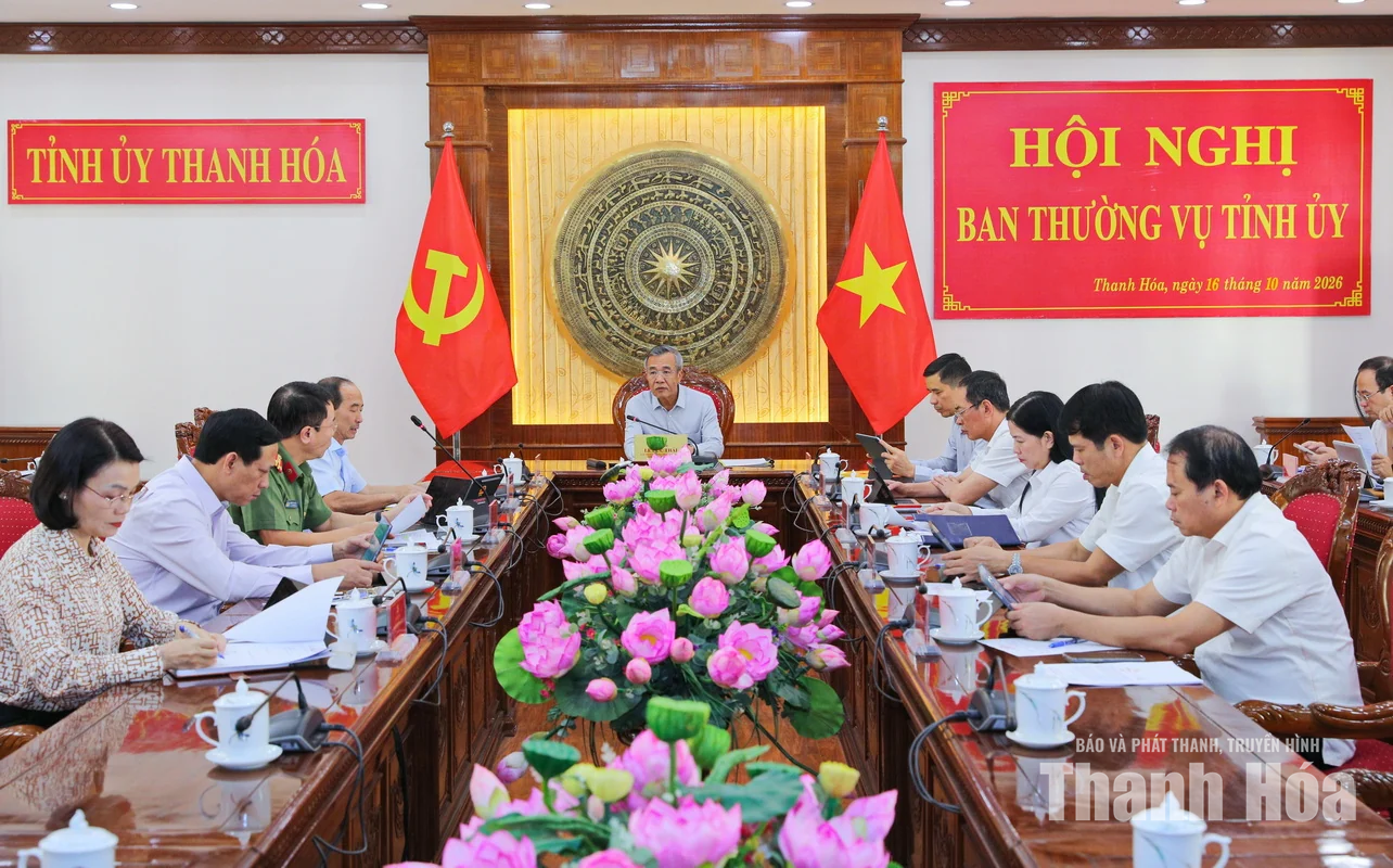Ban Thường vụ Tỉnh ủy cho ý kiến điều chỉnh chủ trương đầu tư Dự án khai thác cảng và dịch vụ dầu khí tổng hợp