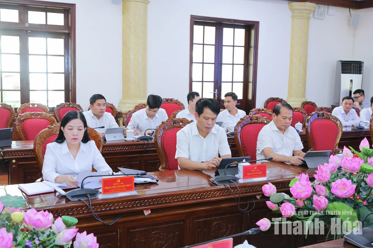 Ban Thường vụ Tỉnh ủy cho ý kiến điều chỉnh chủ trương đầu tư Dự án khai thác cảng và dịch vụ dầu khí tổng hợp