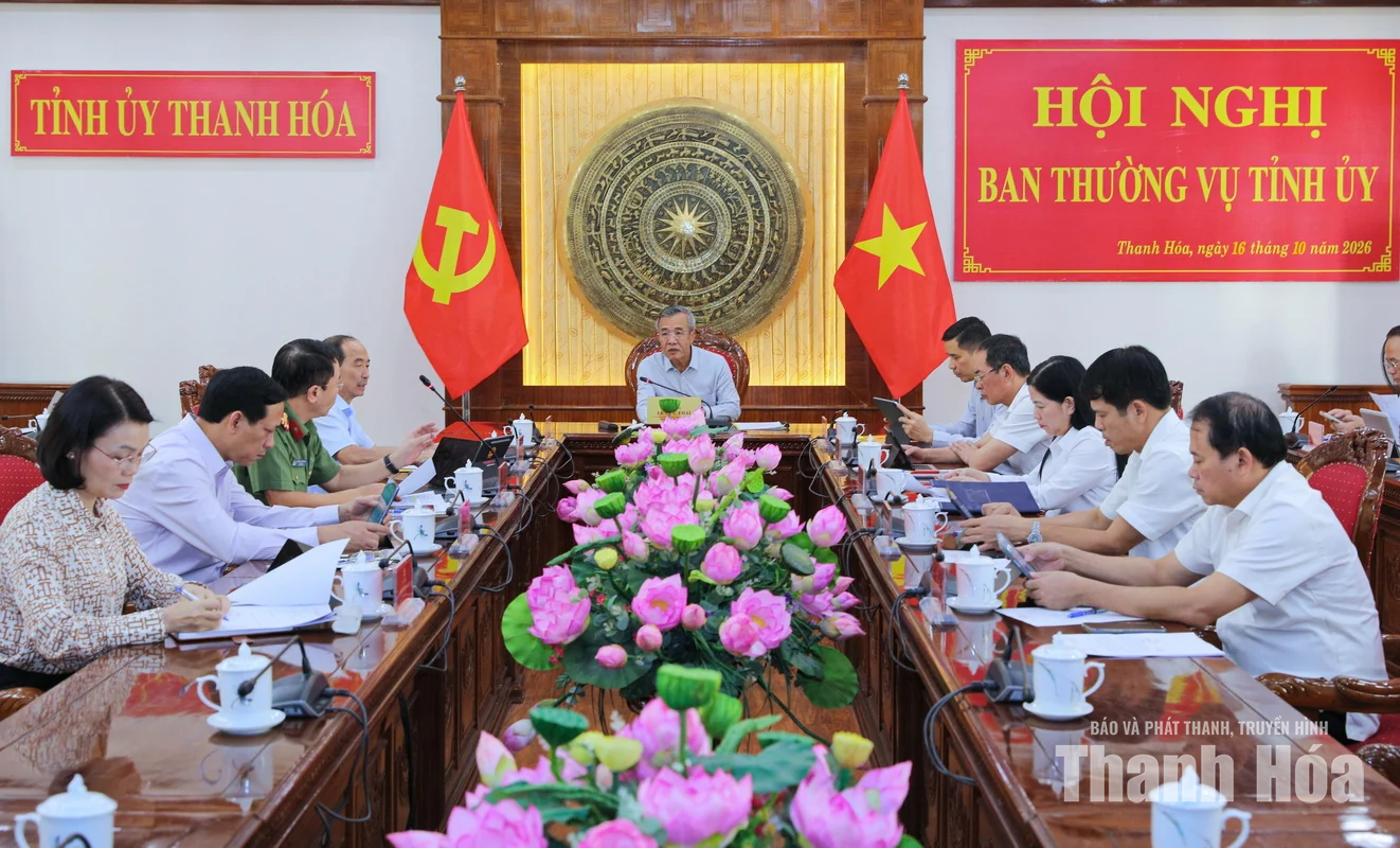 Ban Thường vụ Tỉnh ủy cho ý kiến điều chỉnh chủ trương đầu tư Dự án khai thác cảng và dịch vụ dầu khí tổng hợp