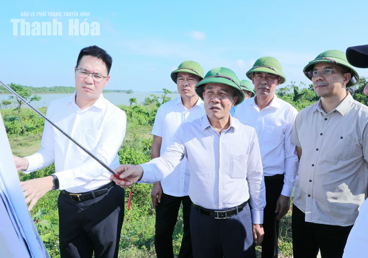 Thường trực Tỉnh ủy kiểm tra thực địa phương án Trung tâm hành chính mới, quy hoạch đô thị và công tác bảo vệ môi trường