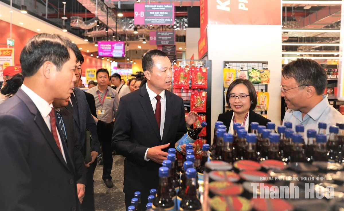 Khai trương Trung tâm thương mại AEON MALL Thanh Hóa
