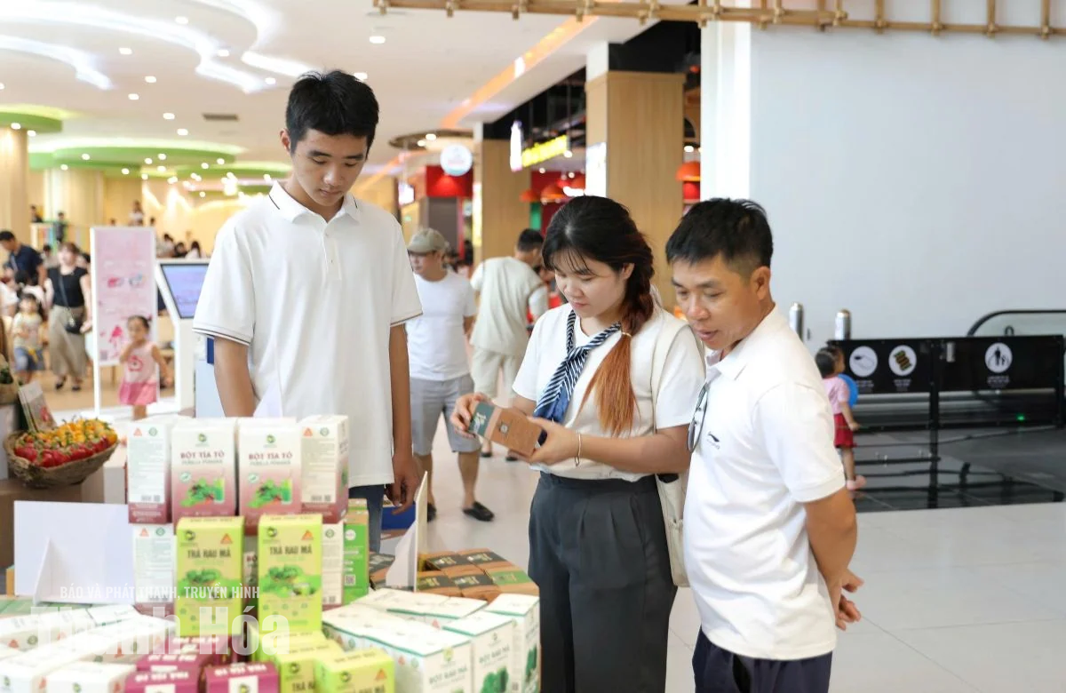 Khám phá không gian mua sắm, giải trí lớn nhất hệ thống AEON MALL tại Việt Nam