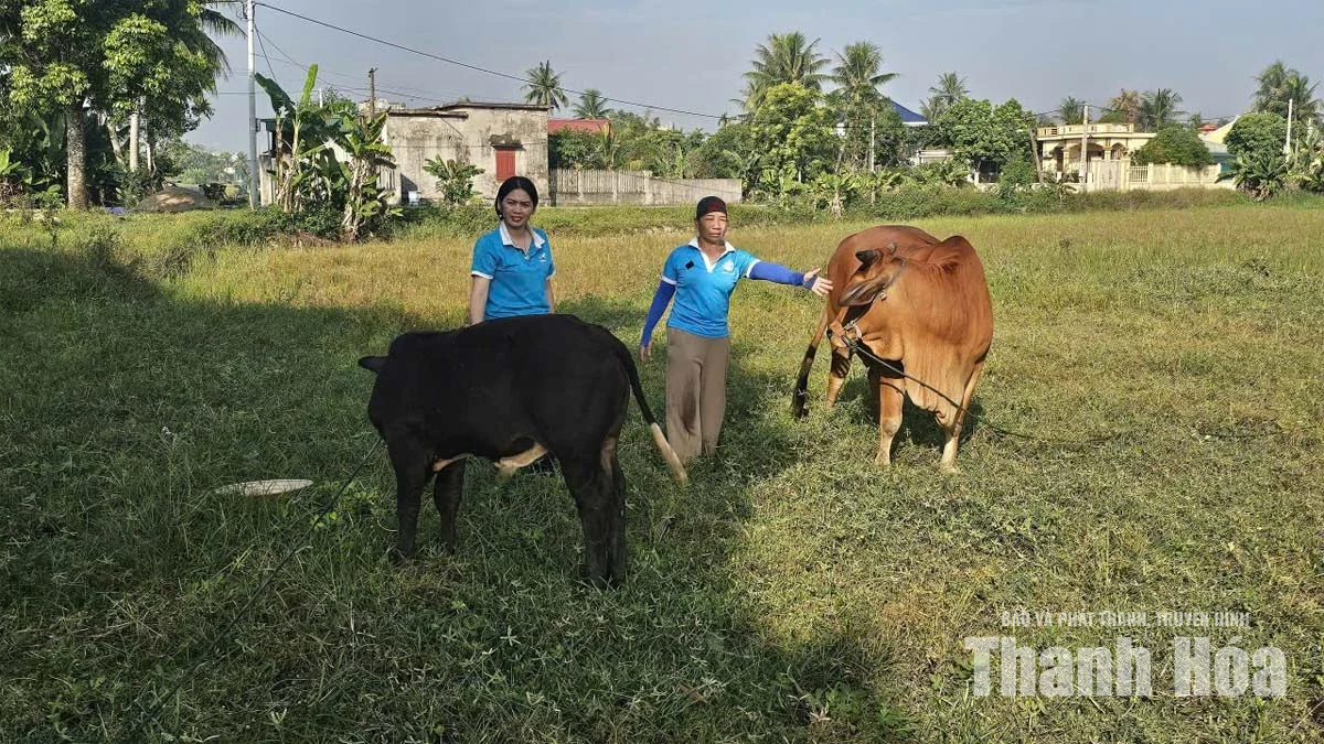Không để người yếu thế bị bỏ lại phía sau