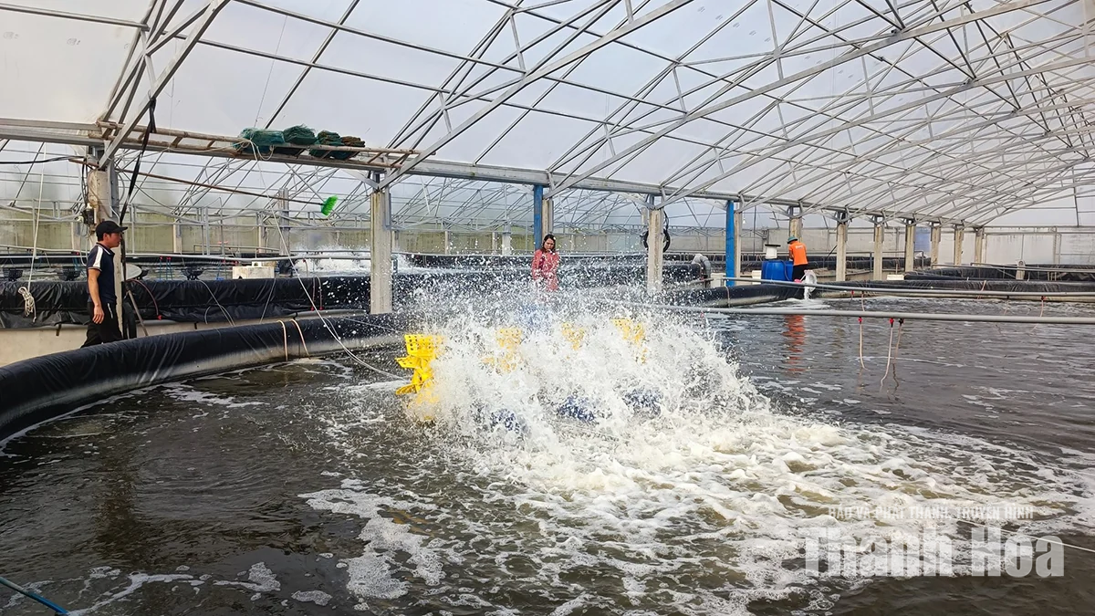 Thanh Hóa dồn lực cho mục tiêu xuất khẩu 8,5 tỷ USD