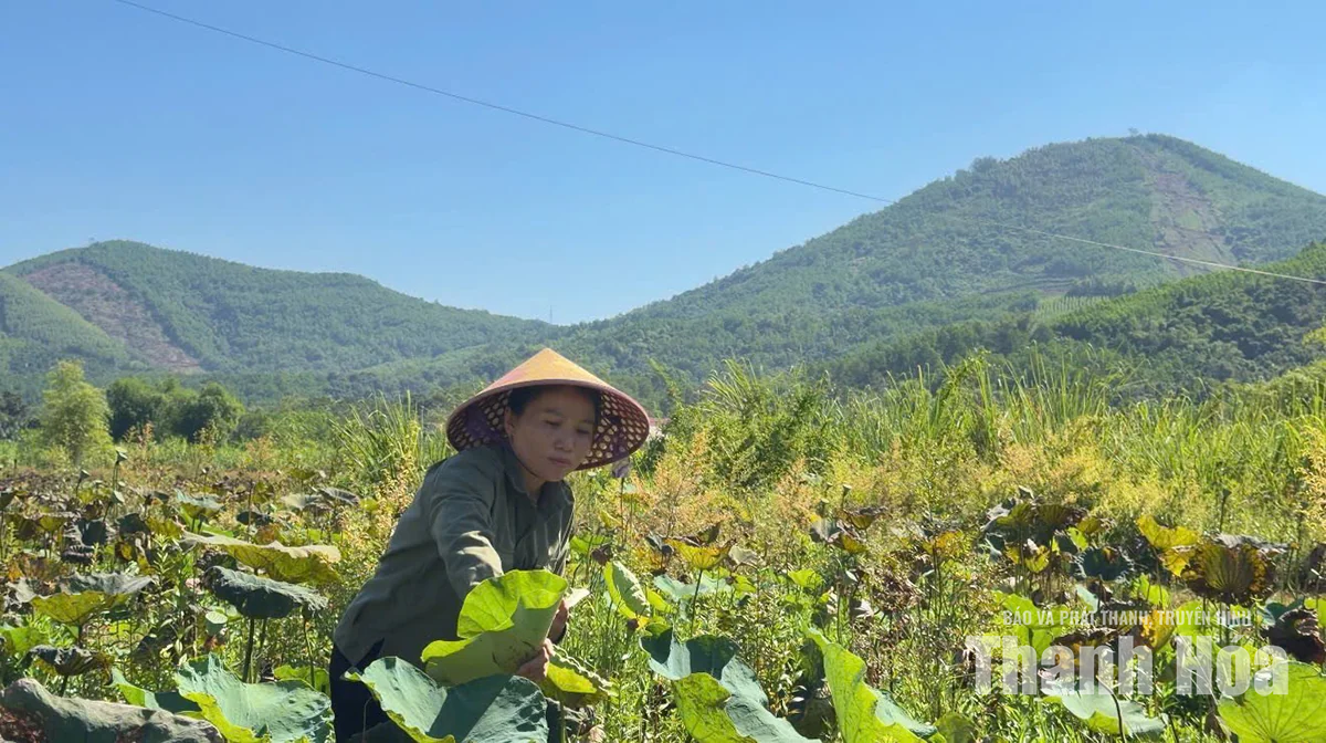 Gieo hạt,&nbsp;nảy mầm