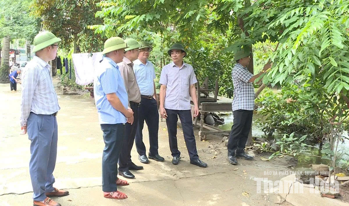 Triển khai đề án tổng thể&nbsp;chống ngập tại khu vực đô thị