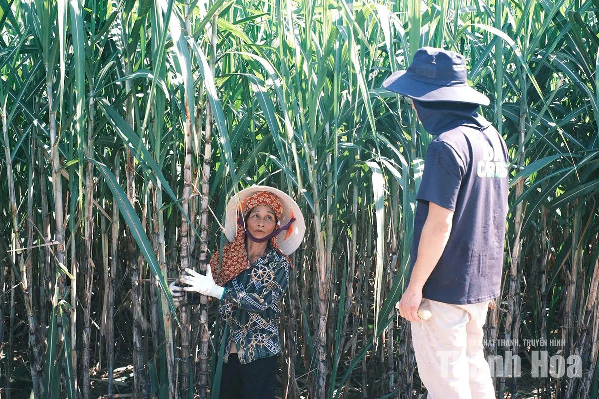 Cùng nông dân xây dựng sinh kế bền vững