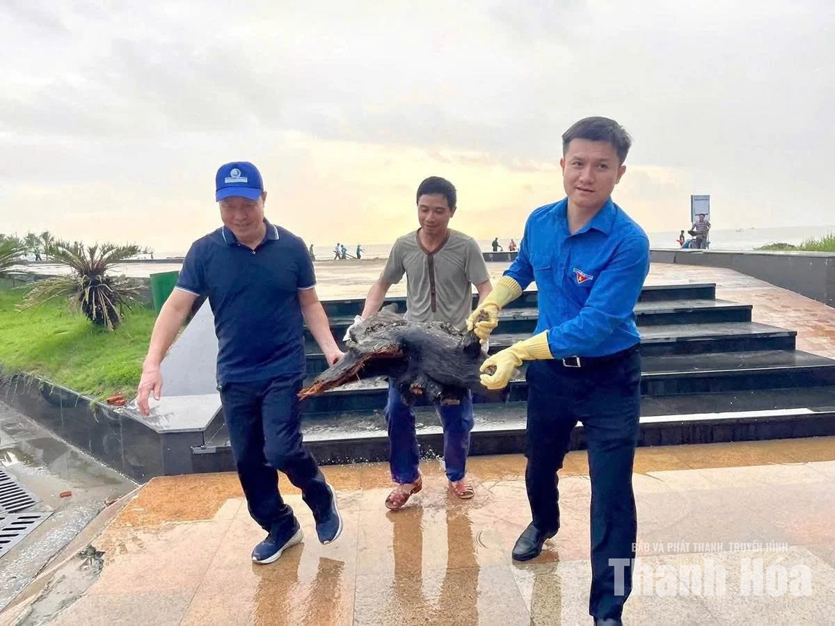 Những bí thư đoàn xung kích, tình nguyện vì môi trường