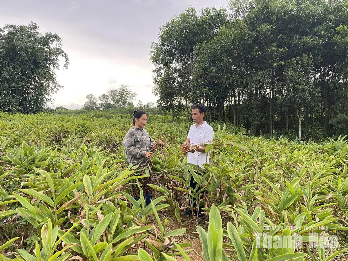 Giúp nhau giảm nghèo bền vững