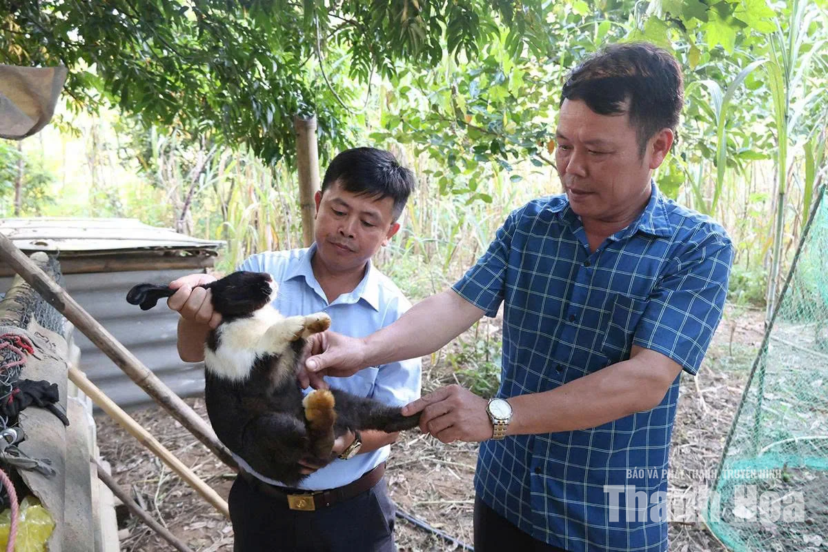 Chăm lo sinh kế - cách làm ở xã Trung Hạ