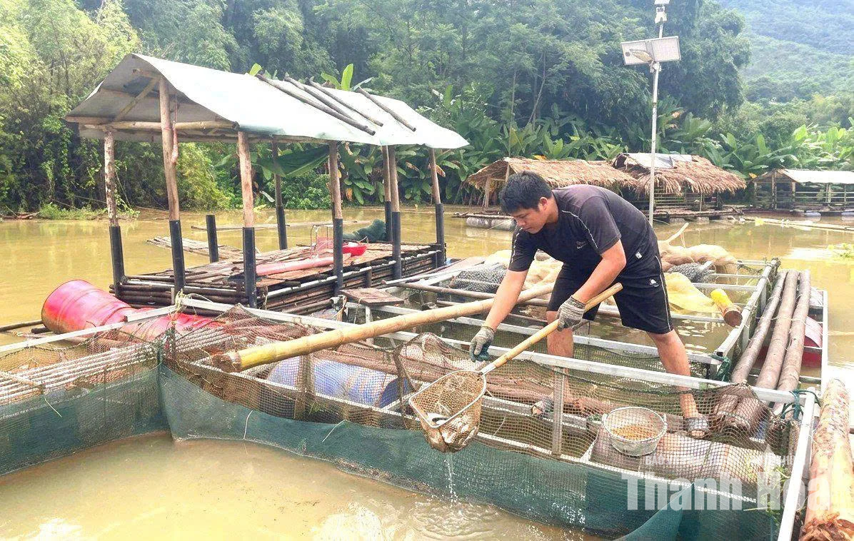 Chông chênh&nbsp;cùng con nước