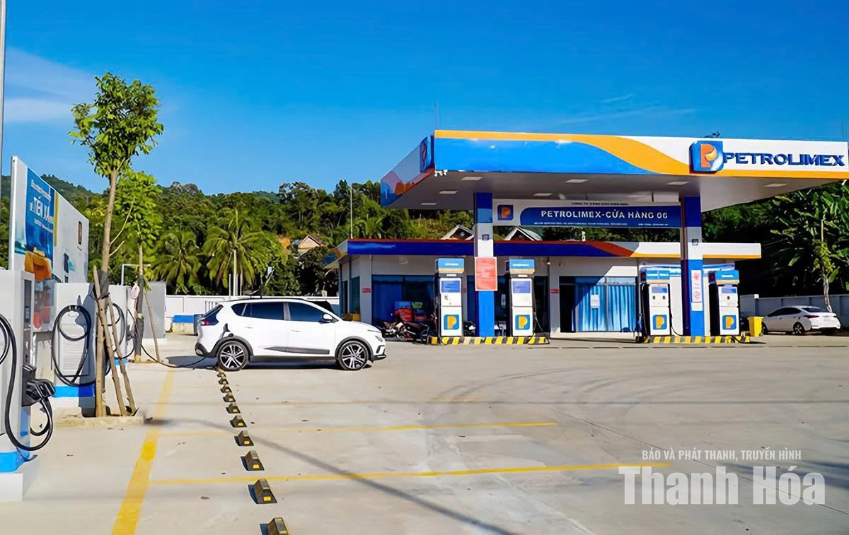 Kinh doanh xăng dầu trước bài toán&nbsp;chuyển dịch năng lượng