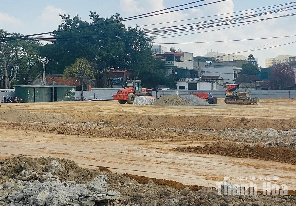 Đẩy nhanh tiến độ thực hiện Dự án Bảo tồn, tôn tạo&nbsp;Khu di tích lịch sử Thái miếu Nhà Hậu Lê