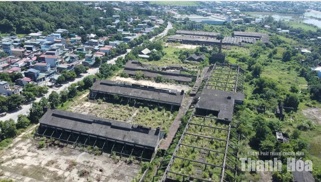 Gần 10ha đất bỏ hoang chờ phương án khai thác