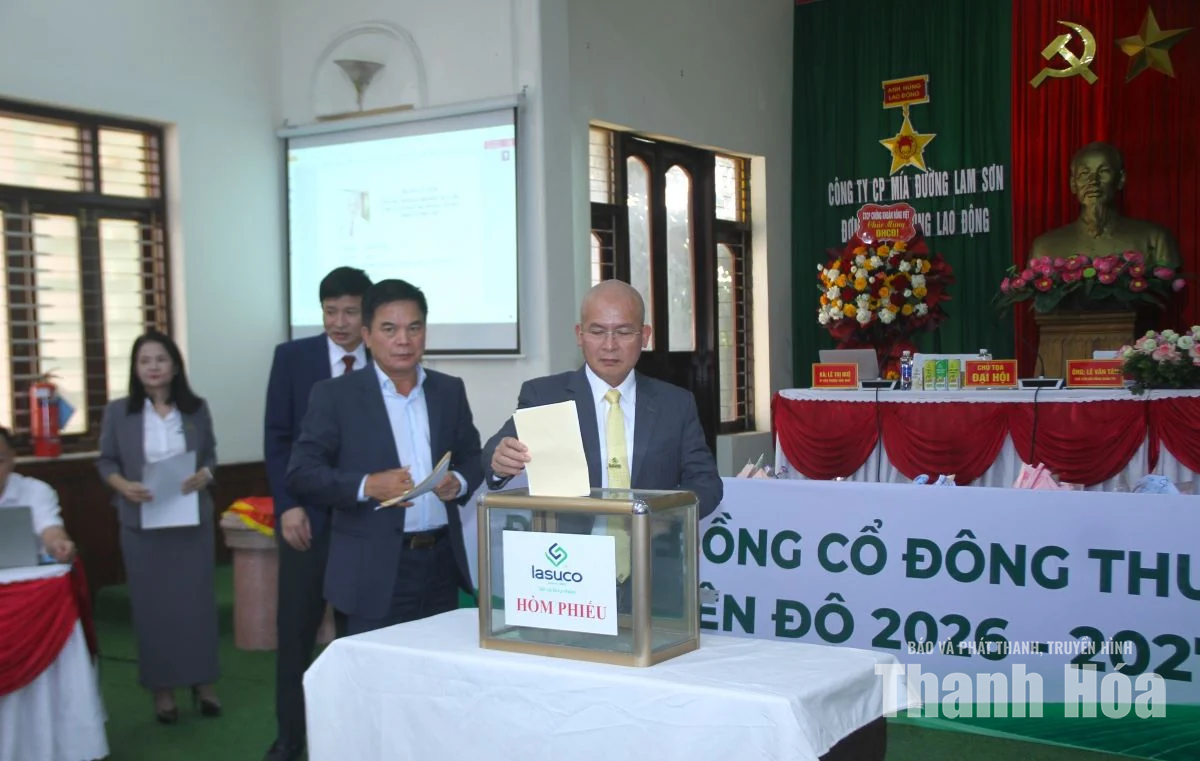 LASUCO đặt mục tiêu doanh thu 2.655 tỷ đồng trong niên độ 2026-2027