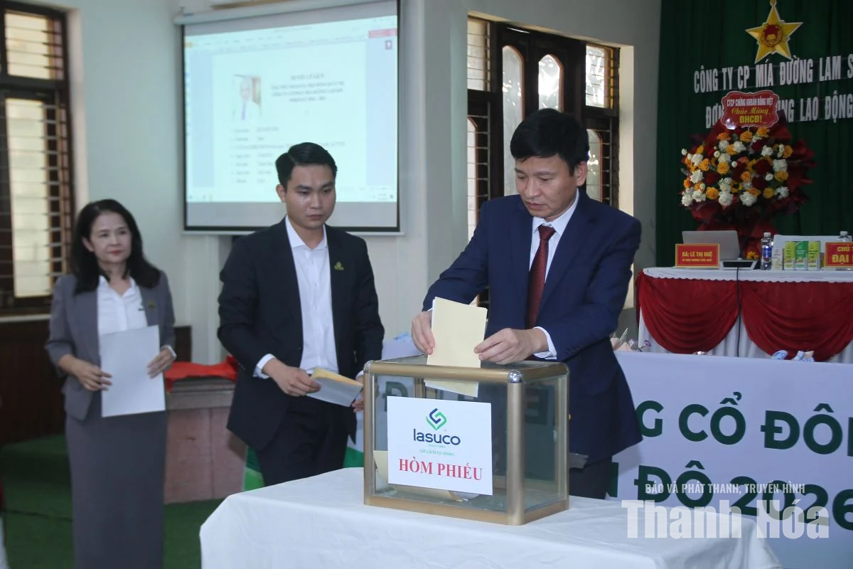 LASUCO đặt mục tiêu doanh thu 2.655 tỷ đồng trong niên độ 2026-2027