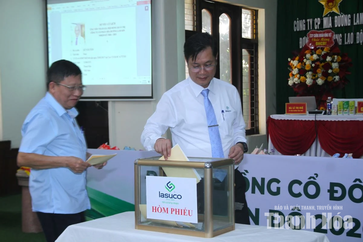 LASUCO đặt mục tiêu doanh thu 2.655 tỷ đồng trong niên độ 2026-2027