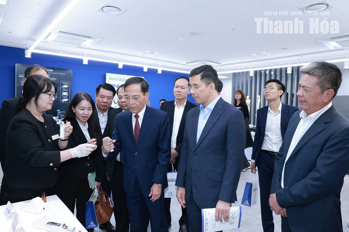 Quan tâm hỗ trợ kết nối thúc đẩy hợp tác Thanh Hóa - Hàn Quốc