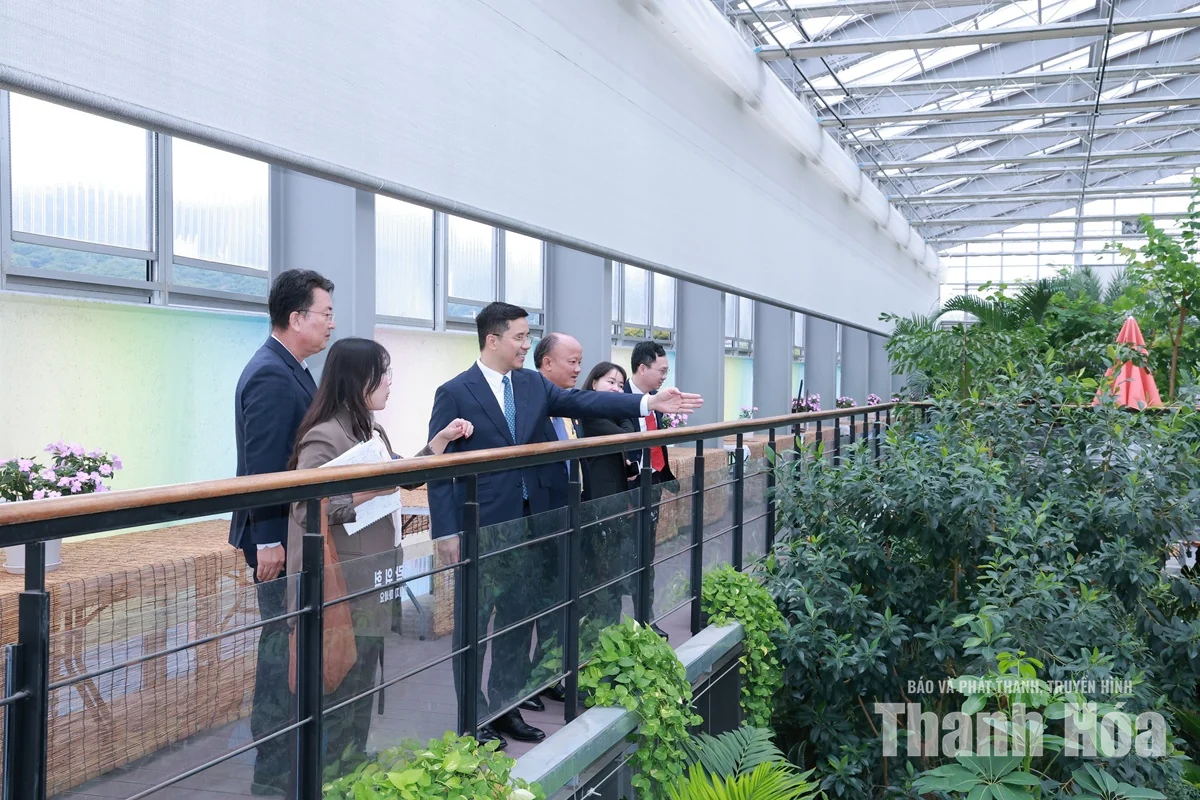 Quan tâm hỗ trợ kết nối thúc đẩy hợp tác Thanh Hóa - Hàn Quốc