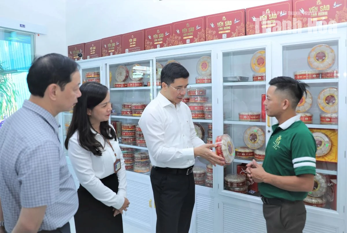 Tập trung tháo “điểm nghẽn”, tạo dựng môi trường an toàn, lành mạnh để Quảng Bình phát triển bền vững
