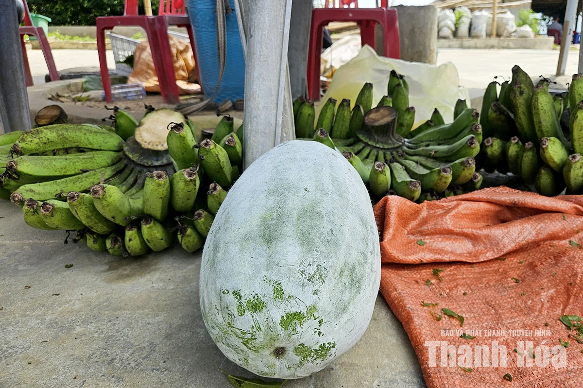 Những phụ nữ Mông ngược dốc mang nông sản lên cổng trời
