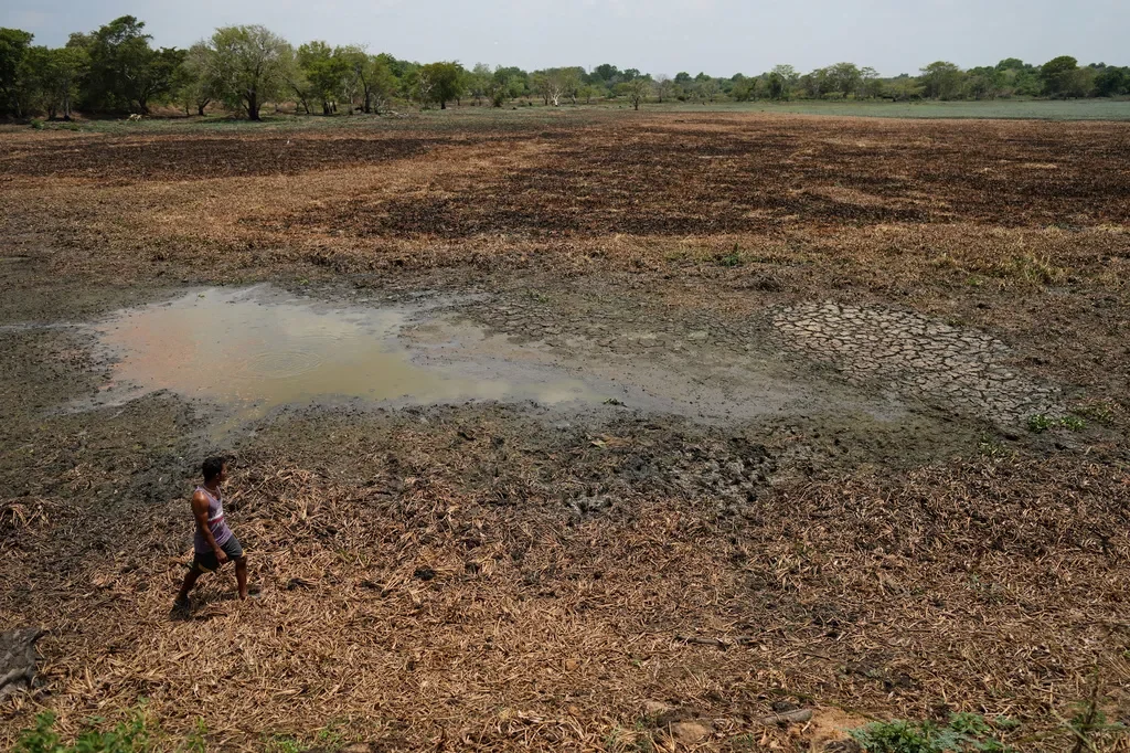 Cảnh báo khả năng El Nino mạnh vượt mọi kỷ lục