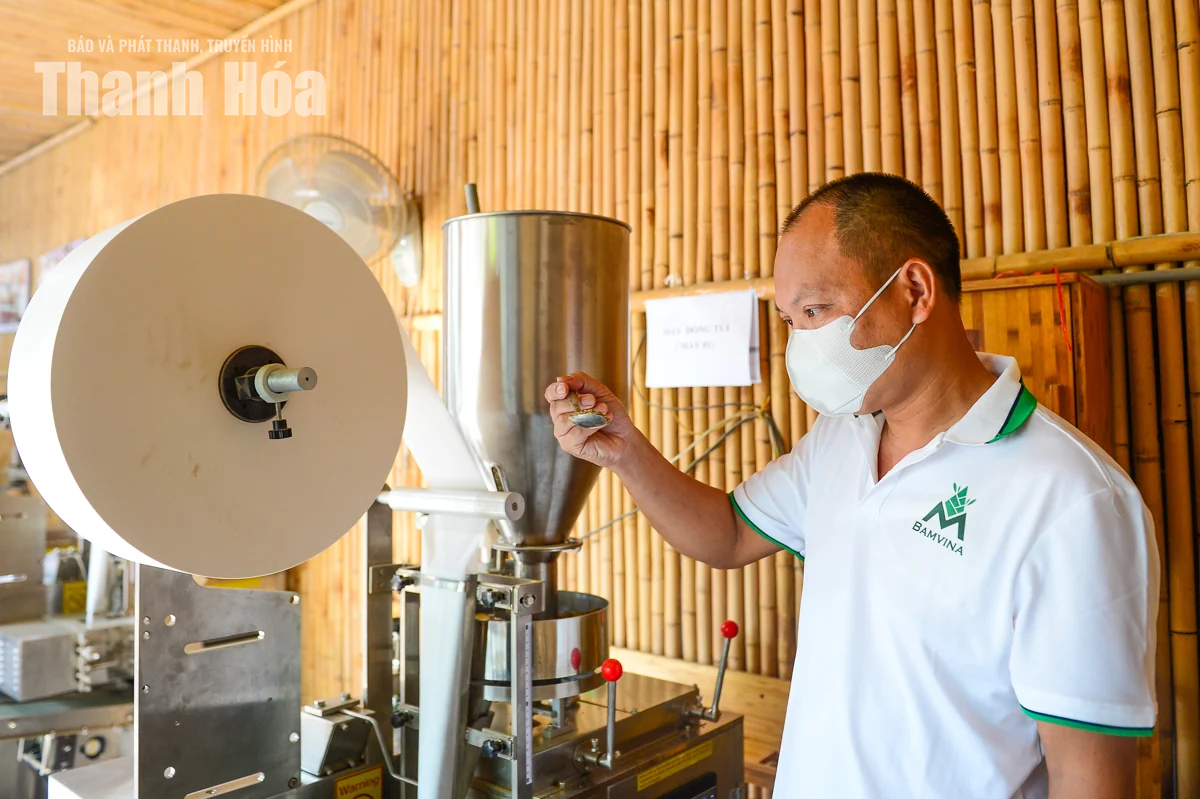 Gìn giữ giá trị thảo mộc Việt từ nguồn dược liệu xứ Thanh