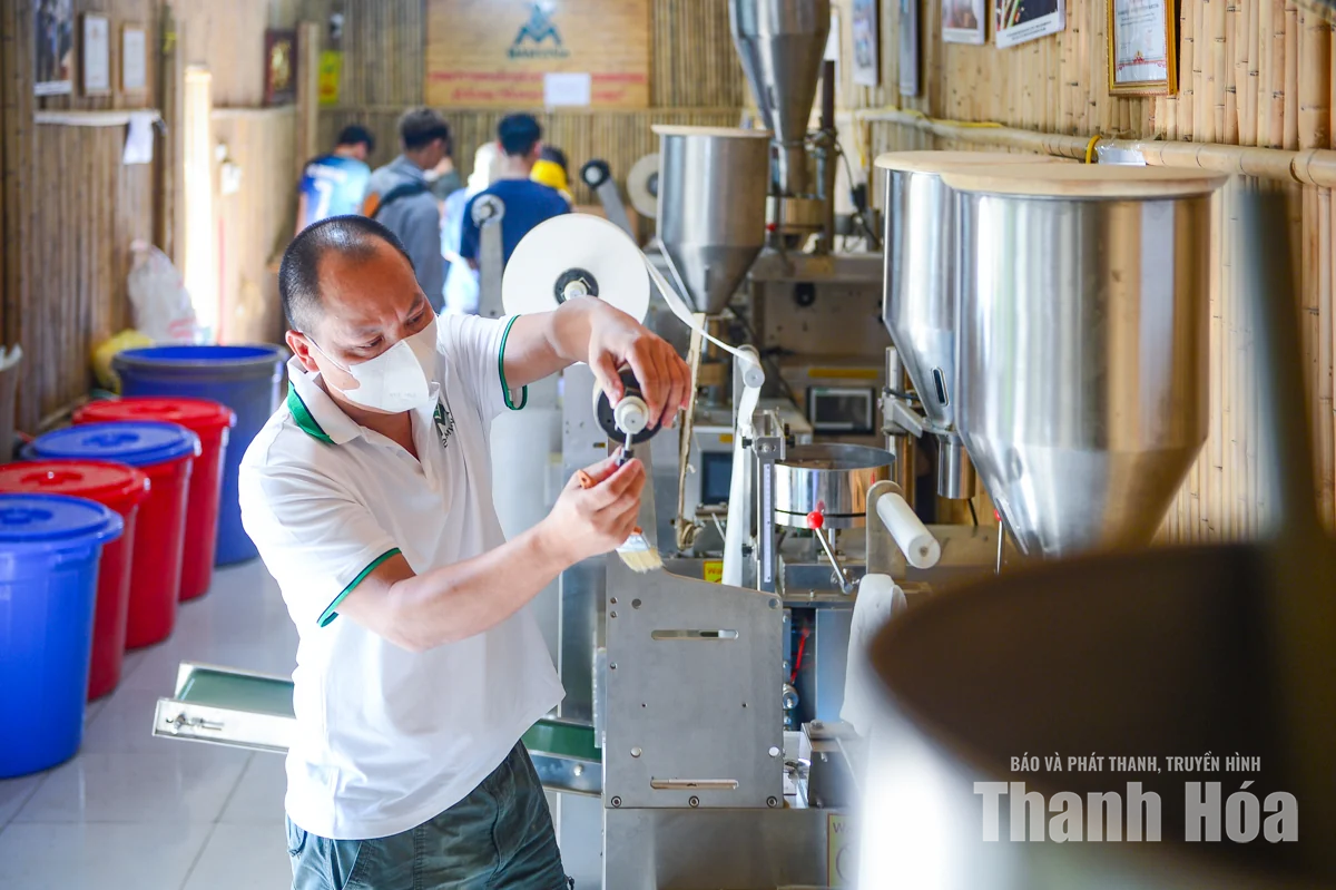 Gìn giữ giá trị thảo mộc Việt từ nguồn dược liệu xứ Thanh