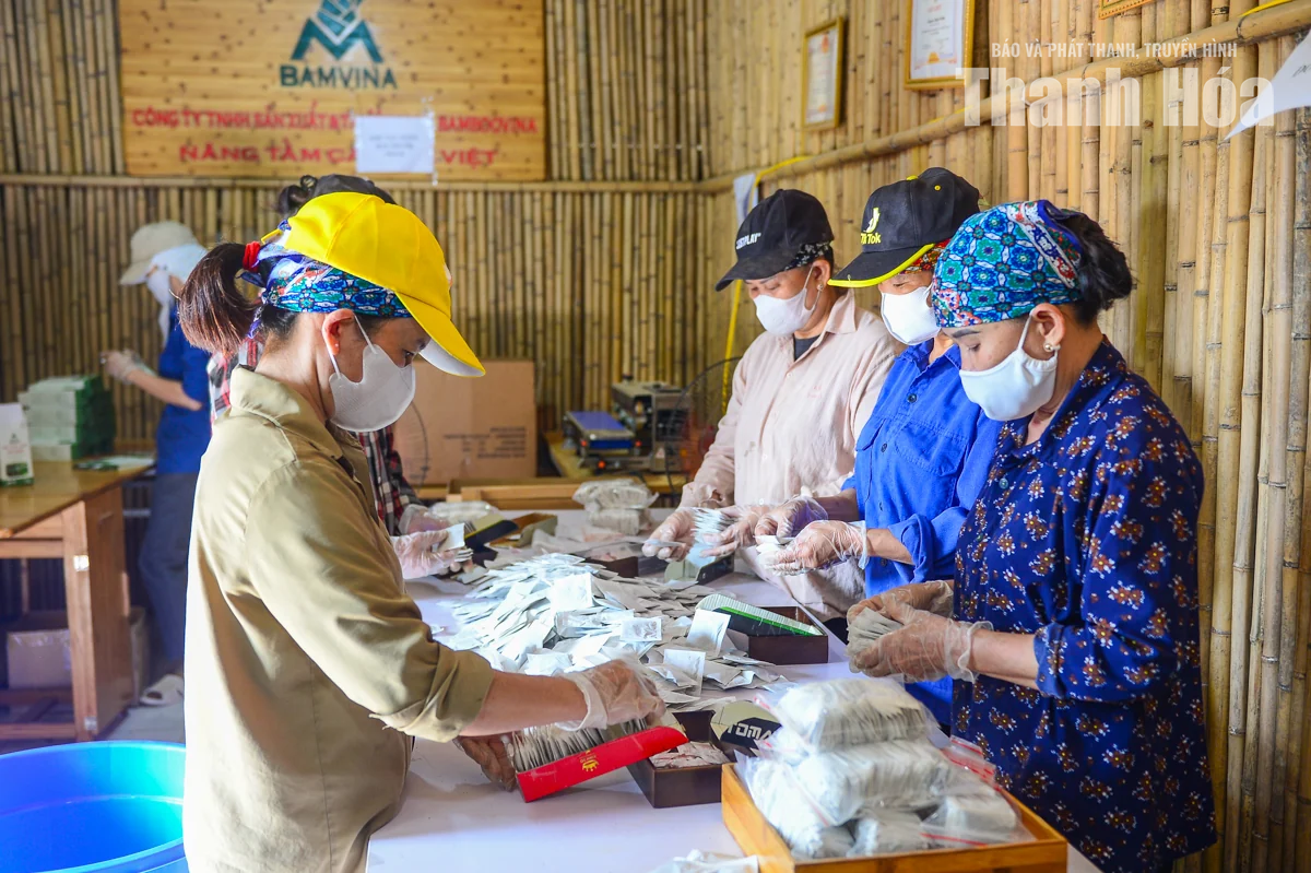 Gìn giữ giá trị thảo mộc Việt từ nguồn dược liệu xứ Thanh