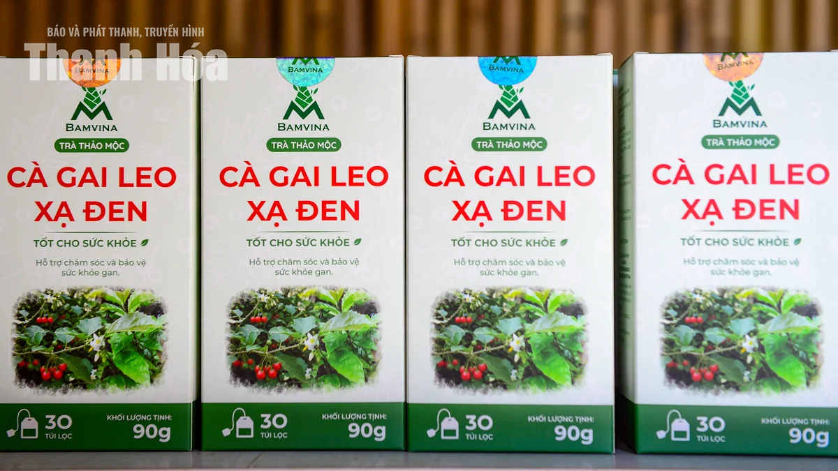 Gìn giữ giá trị thảo mộc Việt từ nguồn dược liệu xứ Thanh