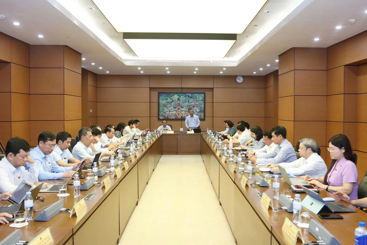 Đại biểu Quốc hội tỉnh Thanh Hóa đề xuất hoàn thiện quy định về nuôi con nuôi, bảo đảm quyền lợi trẻ em