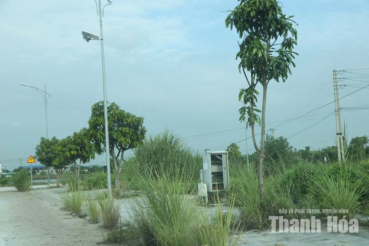 Tỷ lệ lấp đầy các mặt bằng&nbsp;đấu giá lẻ còn khiêm tốn