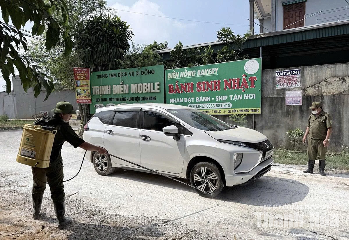 Tạo đà phát triển chăn nuôi những tháng cuối năm