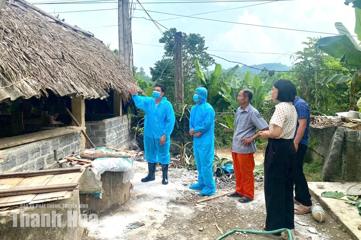 Chi cục Chăn nuôi và Thú y kiểm tra công tác phòng, chống bệnh dịch tả lợn châu Phi
