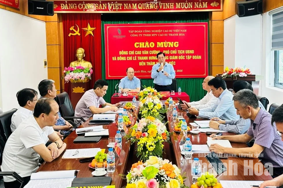 Tháo gỡ vướng mắc, nâng cao hiệu quả sử dụng đất trồng cao su