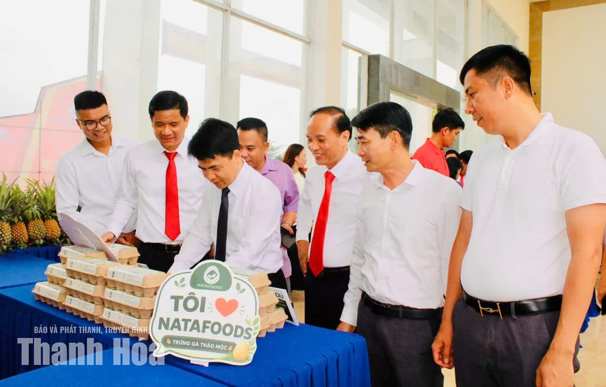VCCI Thanh Hóa - Ninh Bình kết nối giao thương&nbsp;