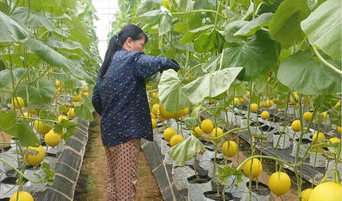 Định Hòa sau sắp xếp: Bản lĩnh của một đảng bộ trong phép thử từ thực tiễn