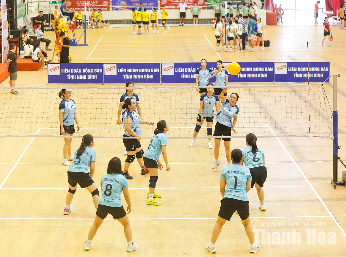 83 đoàn vận động viên hai tỉnh Thanh Hóa, Ninh Bình tham dự hội thao ngành Ngân hàng
