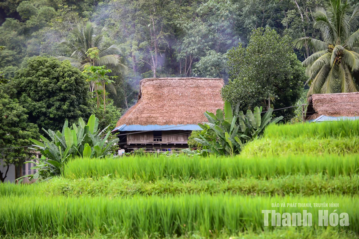 Nếp nhà sàn giữ hồn bản Thái nơi miền Tây xứ Thanh