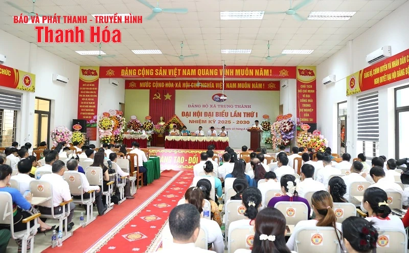 Chỉ định bổ sung hoặc tăng thêm cấp ủy viên, ủy viên ban thường vụ trong trường hợp nào?