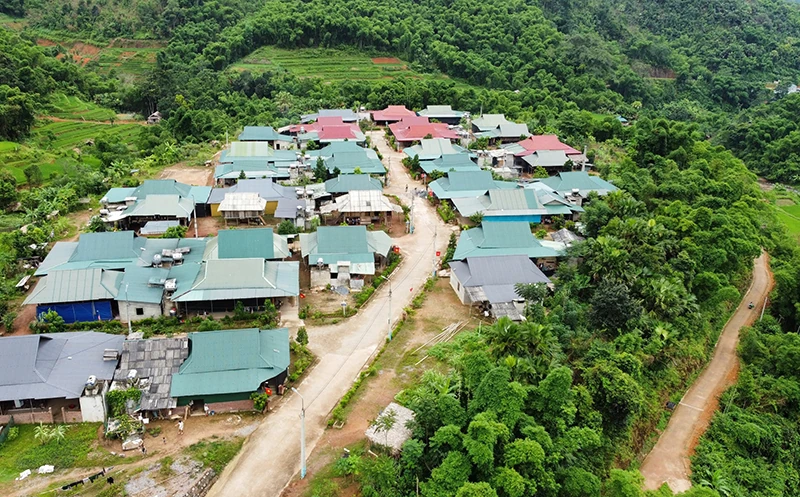 Đồi núi “nở hoa”