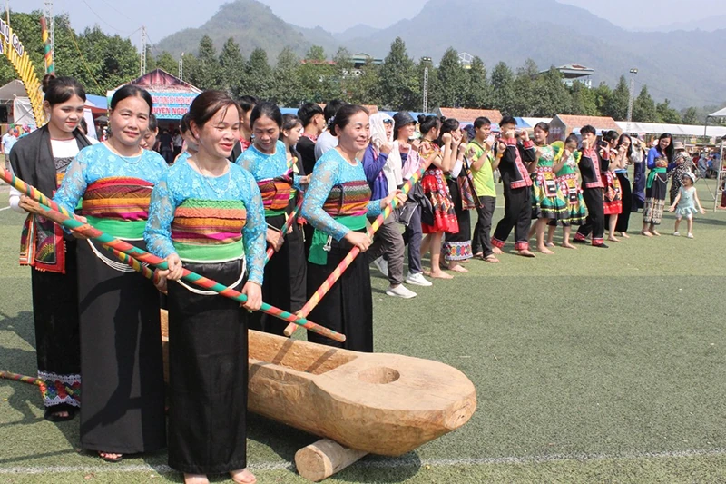 Đồi núi “nở hoa”