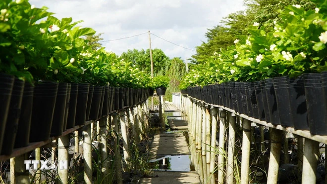 Đại hội XIV của Đảng: Kỳ vọng vào các định hướng chiến lược và quyết sách lớn