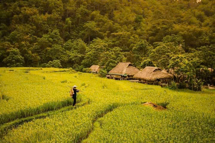 Đồng bào vùng cao xứ Thanh hướng về Đại hội