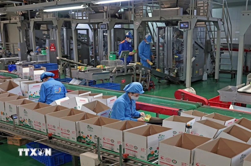 Đại hội XIV của Đảng: Mở đường cho kinh tế tư nhân bứt phá